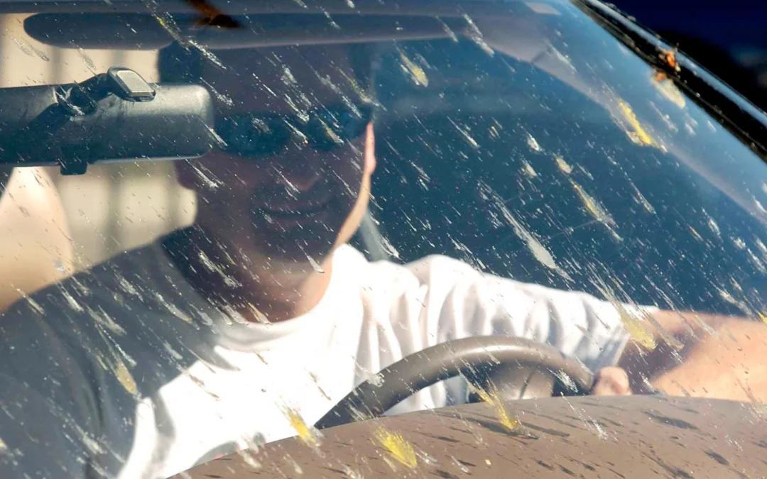 How to Safely Remove Bug Guts From Your Car in Maryland